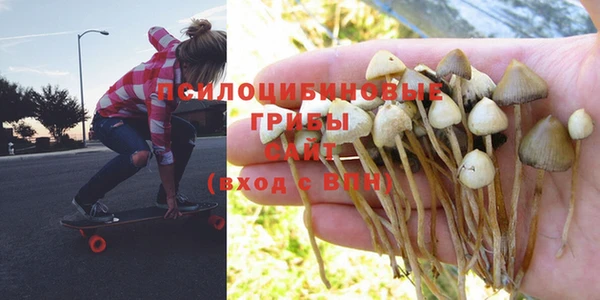 скорость Баксан