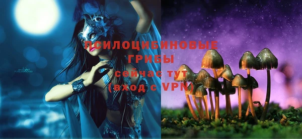 скорость Баксан