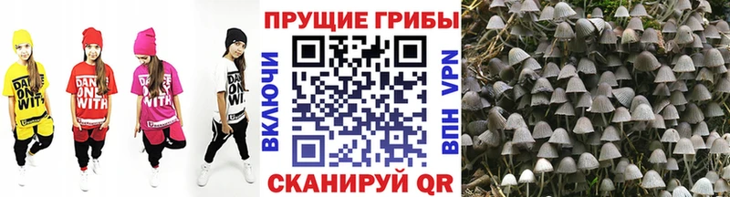 Галлюциногенные грибы ЛСД  где найти наркотики  Новое Девяткино 